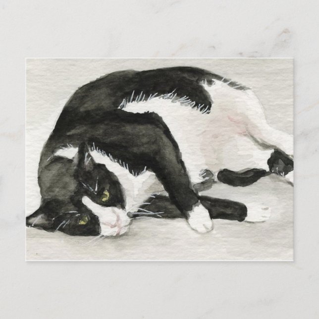 "Comfortable Tuxedo Cat" Art Postcards (Front)