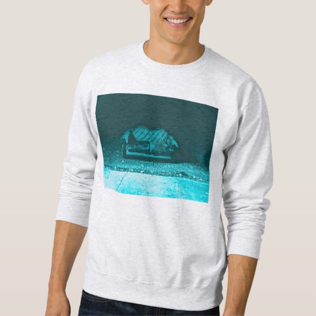 comfy couch sweatshirt (Front)