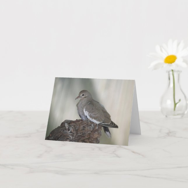 Comfy Dove Inspirational Note Card (Small Plant)