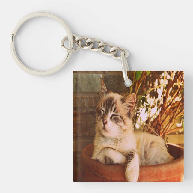 Comfy Sleepy Kitty Key Ring (Front)