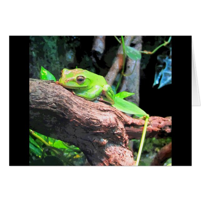 Comic Book Tree Frog (Front Horizontal)