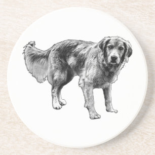 Comic Dog Coaster for Spooky Tables