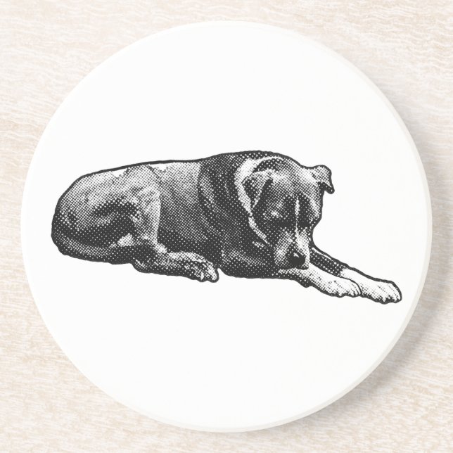 Comic-Dot Paws Coasters (Front)