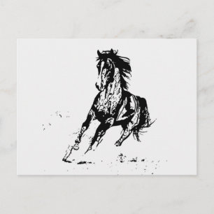 Comic Drawing Horse Postcard