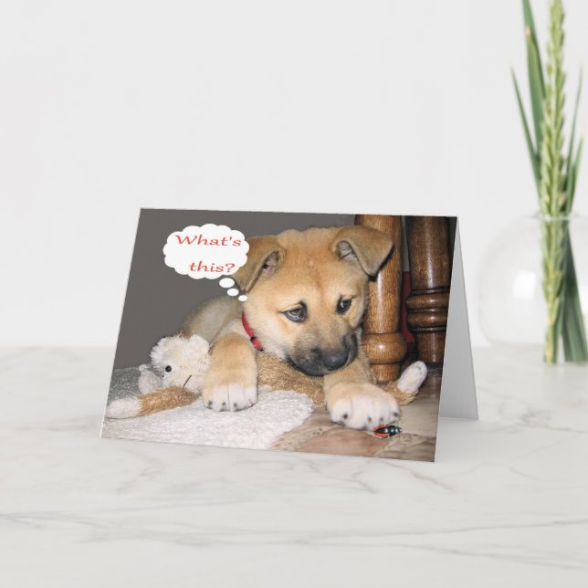 Comical Birthday Humour Card (Front)