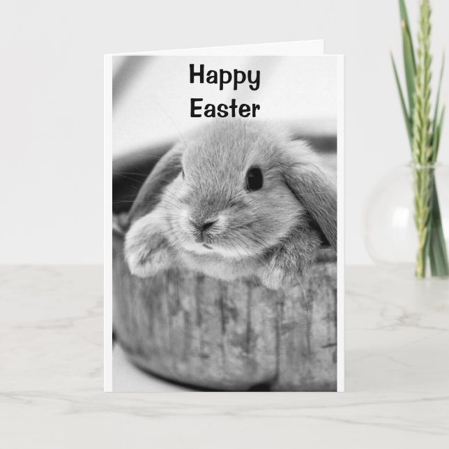 COMICAL BUNNY SAYS **HAPPY EASTER** HOLIDAY CARD (Front)