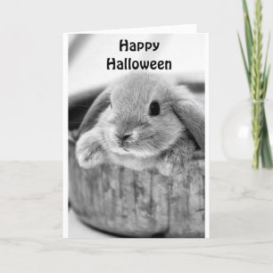 COMICAL BUNNY SAYS **HAPPY HALLOWEEN** HOLIDAY CARD
