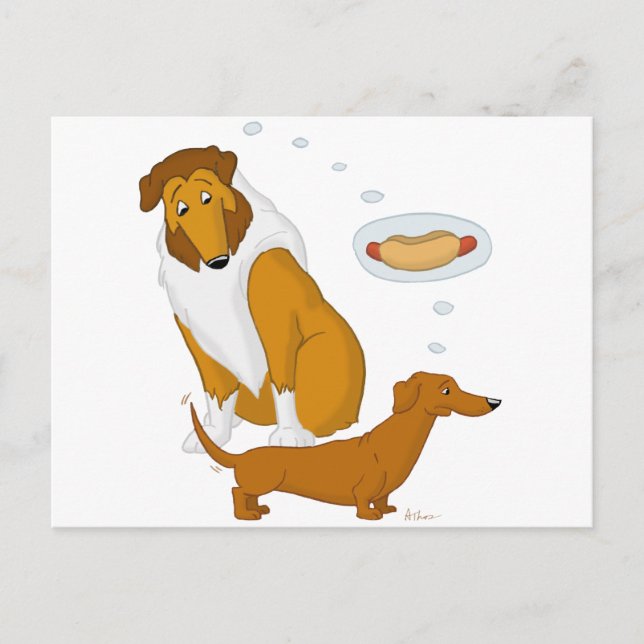 Comical Collie and Dachshund Postcard (Front)