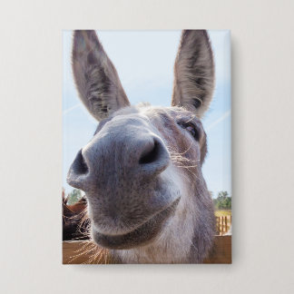 Comical Grey Smiling Donkey
