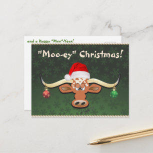 Comical Longhorn Steer Postcard