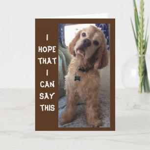 **COMIDIC SPANIEL" HAPPY "70th" BIRTHDAY Card