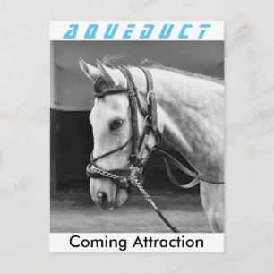 Coming Attraction Postcard