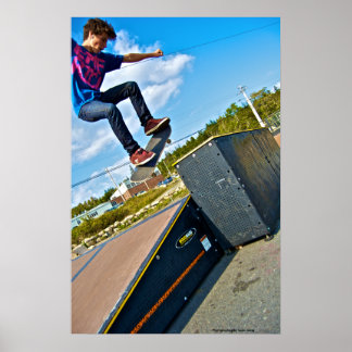Coming in for a grind poster