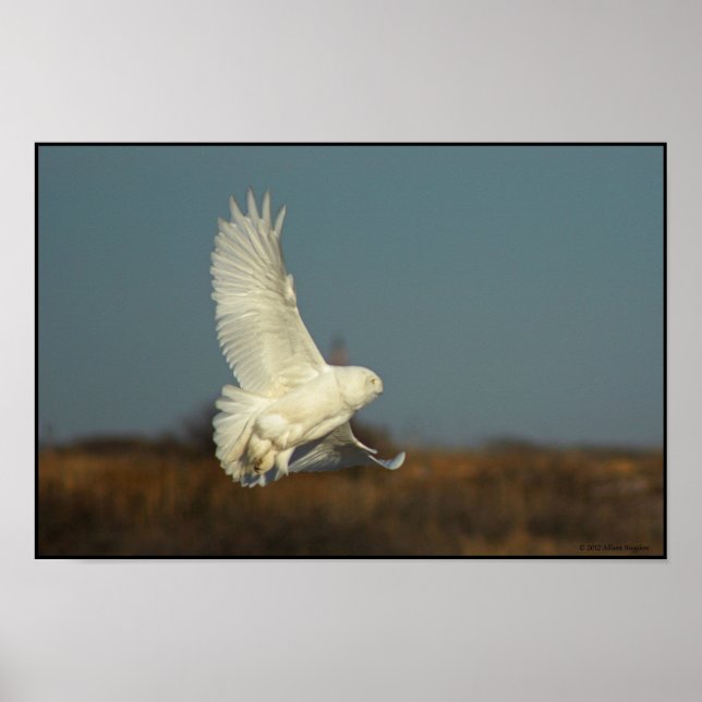 Coming In For a Landing Poster (Front)
