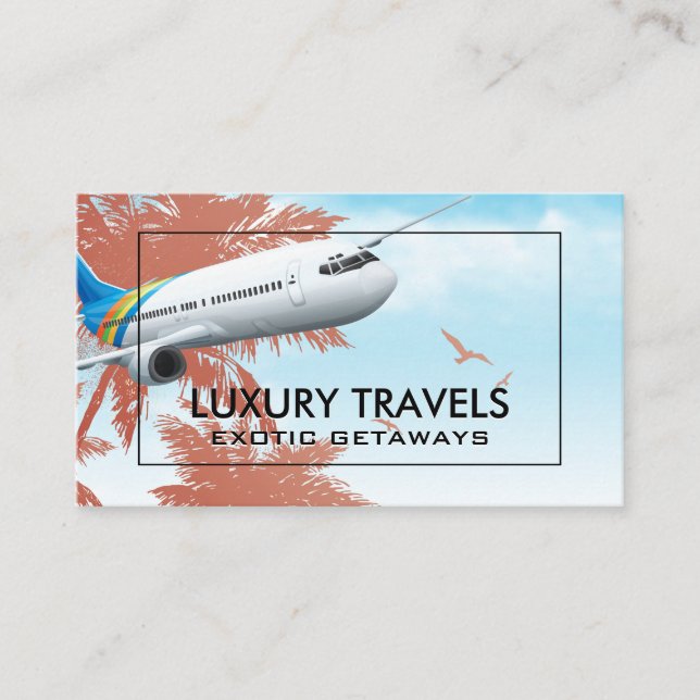 Commercial Plane | Island and Birds Business Card (Front)