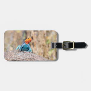 Common Agama Luggage Tag