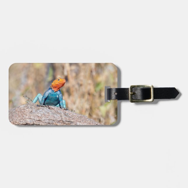 Common Agama Luggage Tag (Front Horizontal)