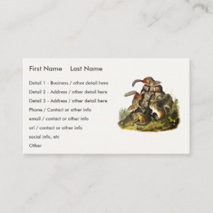 Common American Skunk or Striped Skunk, by Audubon Business Card