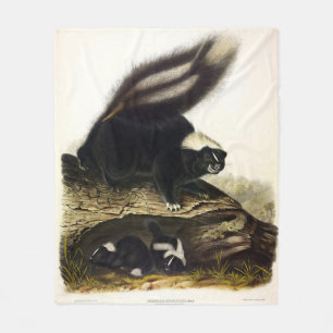 Common American Skunk or Striped Skunk, by Audubon Fleece Blanket