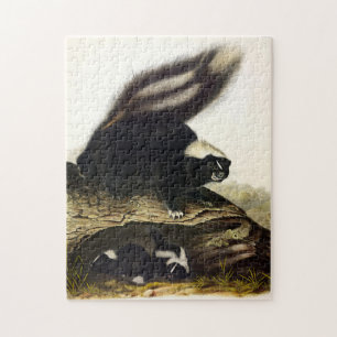 Common American Skunk or Striped Skunk, by Audubon Jigsaw Puzzle