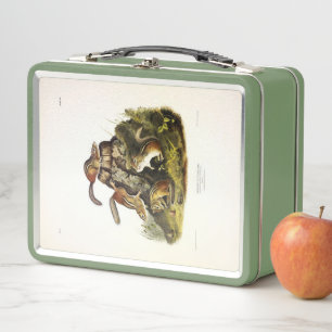 Common American Skunk or Striped Skunk, by Audubon Metal Lunch Box