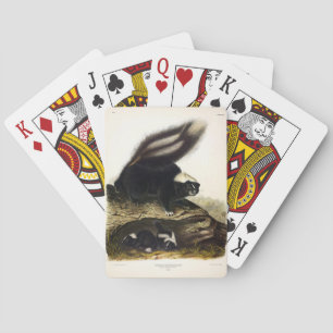 Common American Skunk or Striped Skunk, by Audubon Playing Cards