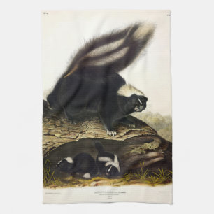 Common American Skunk or Striped Skunk, by Audubon Tea Towel