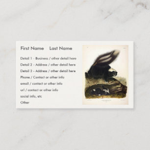 Common American Skunk, Striped Skunk, by Audubon Business Card