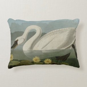 Common American Swan - Audubon's Birds of America Decorative Cushion