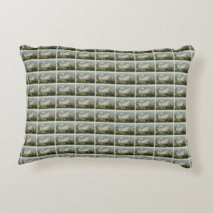 Common American Swan - Audubon's Birds of America Decorative Cushion
