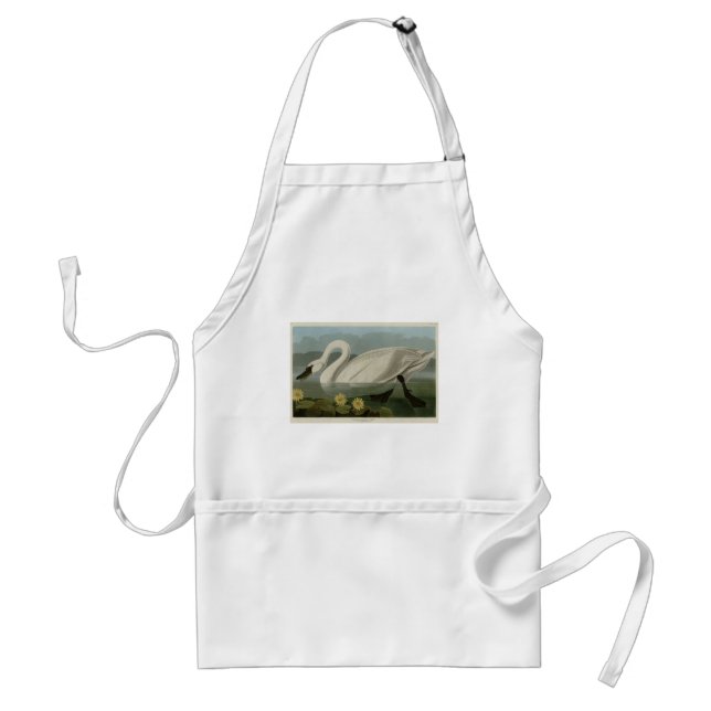 Common American Swan - Audubon's Birds of America Standard Apron (Front)