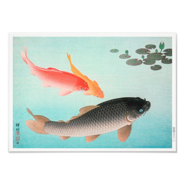 Common and Golden Carp | Ohara Koson | Photo Print (Front)