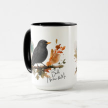 Common Blackbird - Birds, Nature & Me