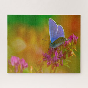 Common Blue Butterfly . Jigsaw Puzzle
