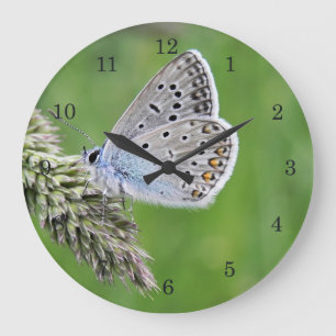 Common Blue Butterfly on Grass Large Clock