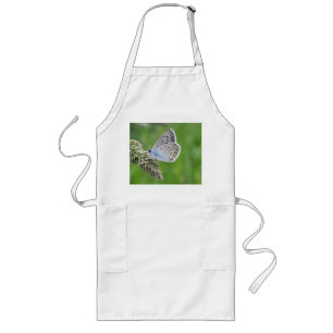 Common Blue Butterfly on Grass Long Apron