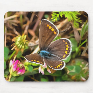 Common Blue Butterfly Polyommatus Icarus Painting Mouse Pad