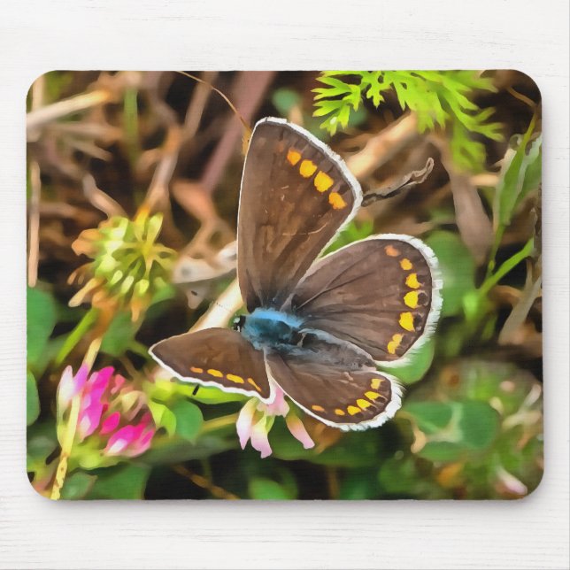 Common Blue Butterfly Polyommatus Icarus Painting Mouse Pad (Front)