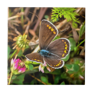 Common Blue Butterfly Polyommatus Icarus Painting Tile