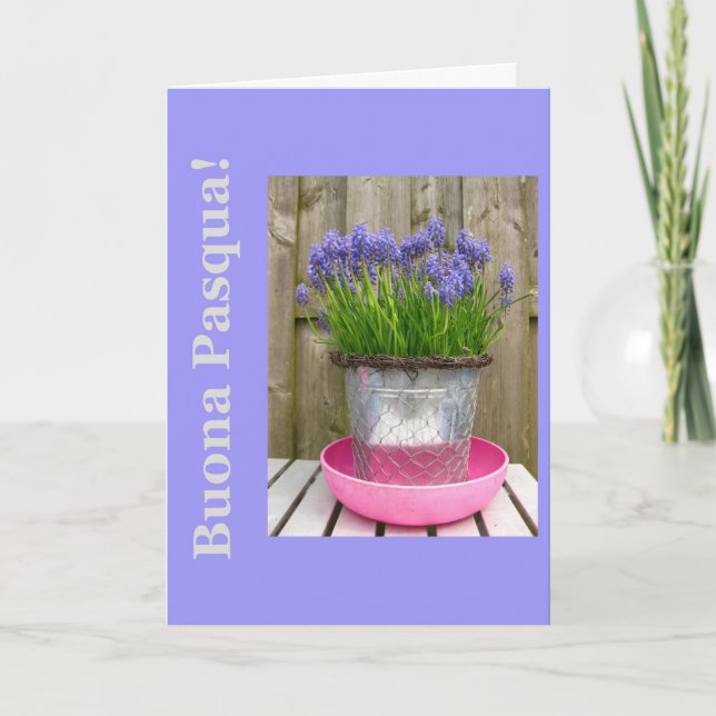 Common blue hyacints easter greeting - italian holiday card (Front)