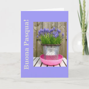 Common blue hyacints easter greeting - italian holiday card