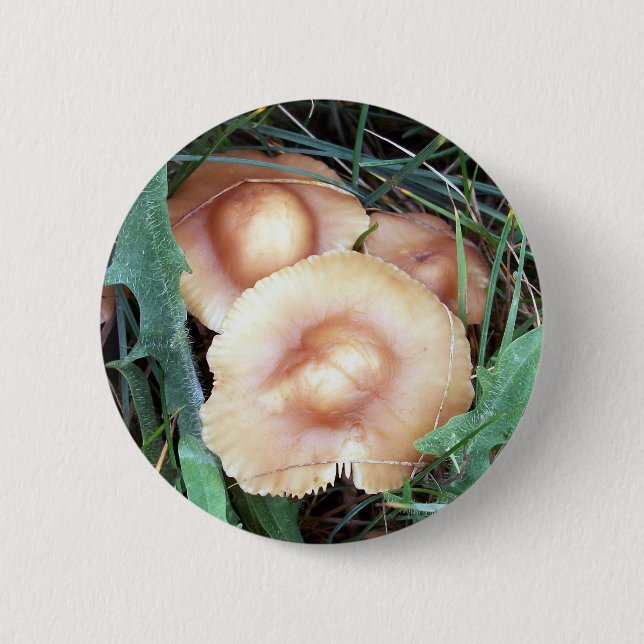 Common Bonnet Mushroom Button (Front)