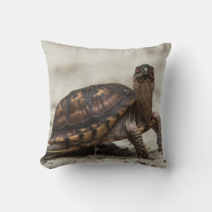 Common box turtle cushion