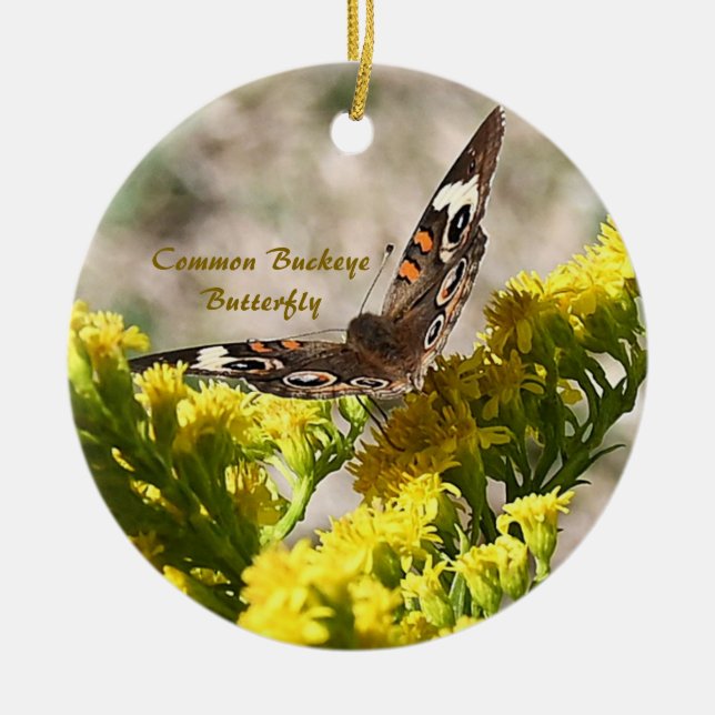 Common Buckey Butterfly Photo Ornament (Front)
