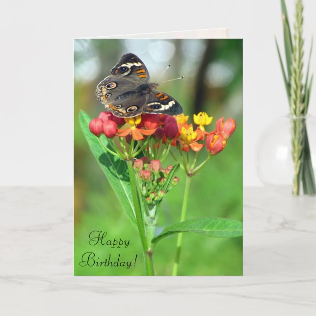 Common Buckeye Butterfly SIL Birthday Card (Front)