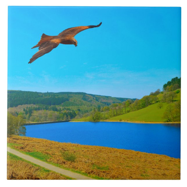 Common Buzzard in flight over Ladybower reservoir Tile (Front)