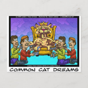 Common Cat Dreams Funny Gifts Tees & Collectibles Postcard