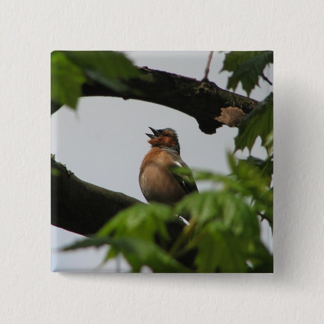 Common Chaffinch 15 Cm Square Badge (Front)