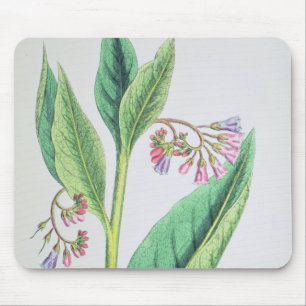Common Comfrey, plate MCXVI, c.1800 Mouse Pad