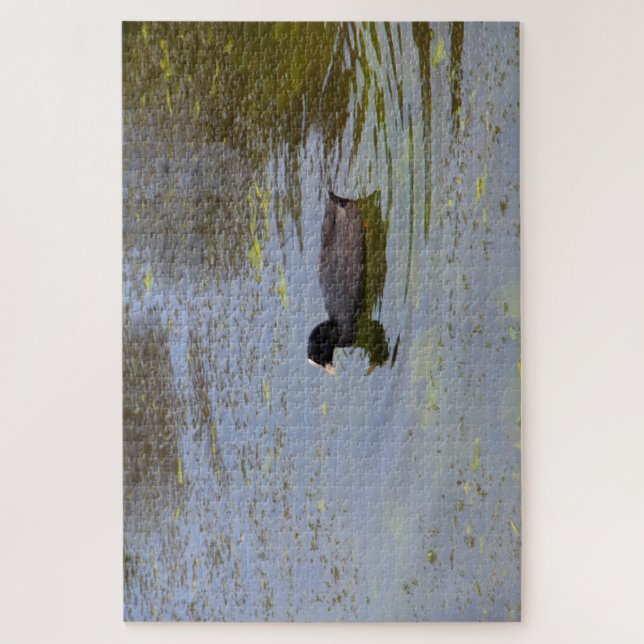 Common coot on a pond jigsaw puzzle (Vertical)